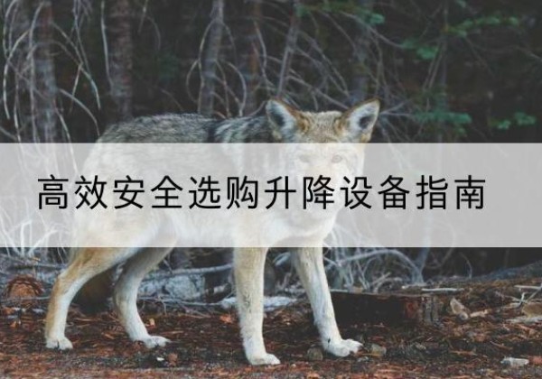 天长升降货梯厂家推荐-*安全选购升降设备指南