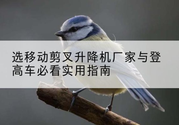 天长电动升降机厂家-选移动剪叉升降机厂家与登高车必看实用指南